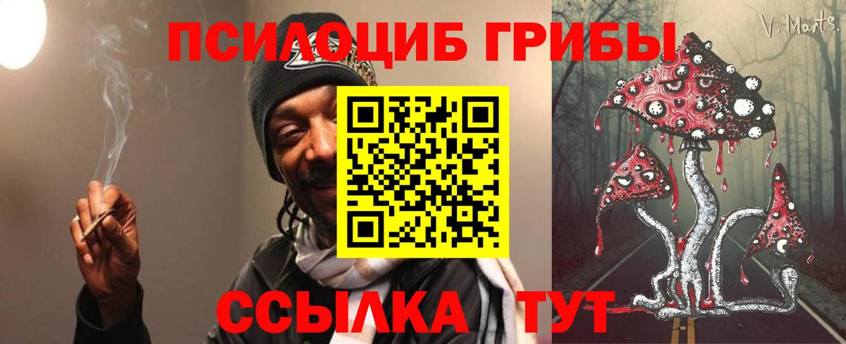 Горно-Алтайск  Галлюциногенные грибы мухоморы  Вход с VPN 